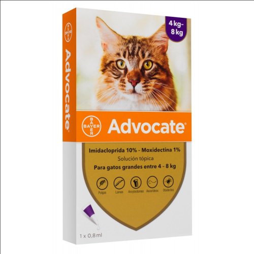 ADVOCATE FOR CATS 4 - 8 KG 1x0,8ml - MISHU ONLINE STORE SRL