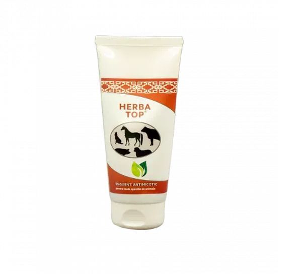 HERBA TOP ANTIFUNGAL OINTMENT 100GR - MISHU ONLINE STORE SRL